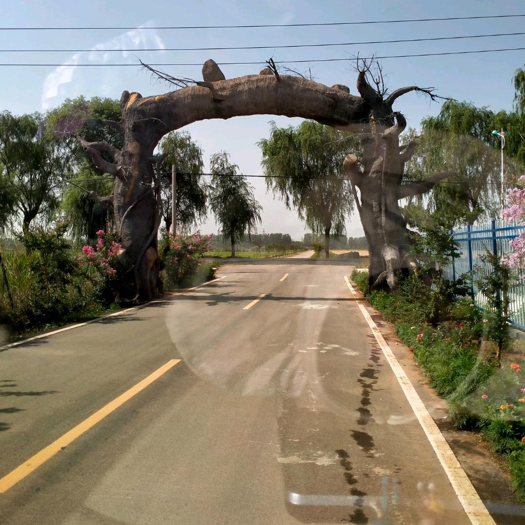 随遇而安…