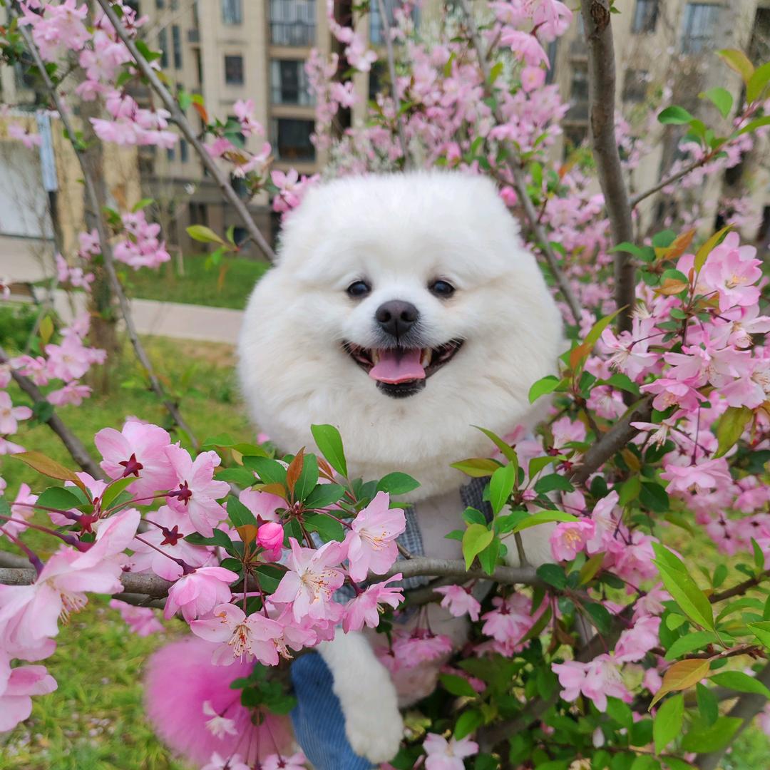 开心😁快乐