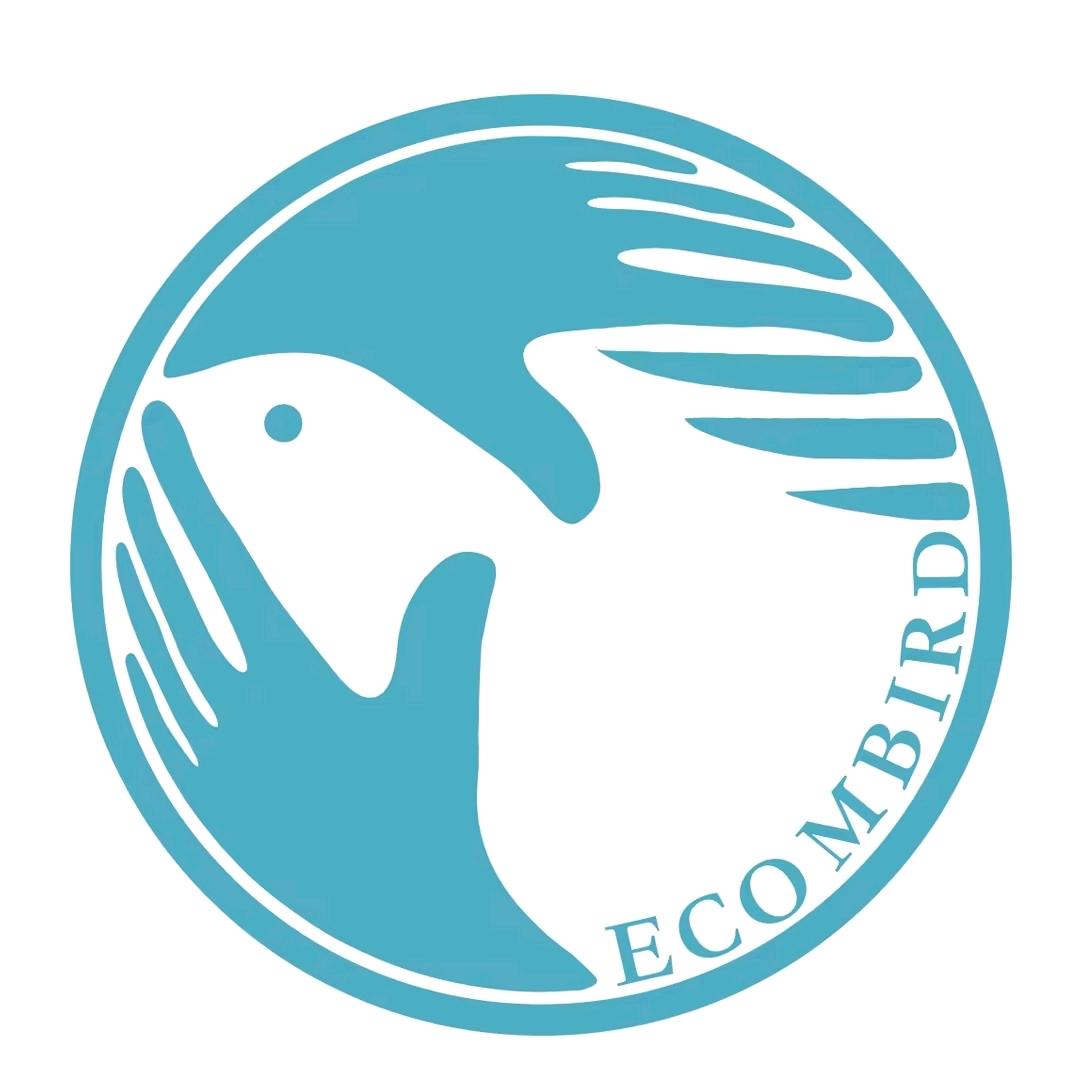 候鸟供应链陈程