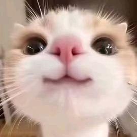 寓言不是寓隐