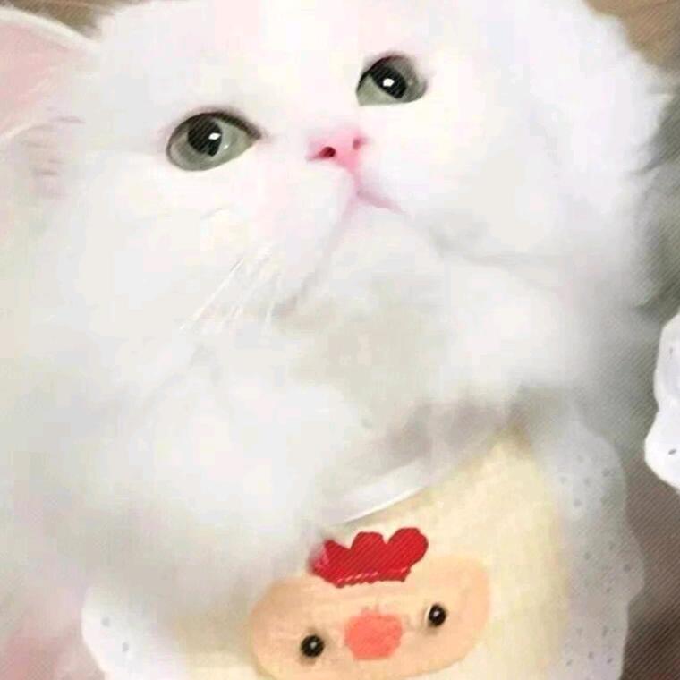 用户3058239951220