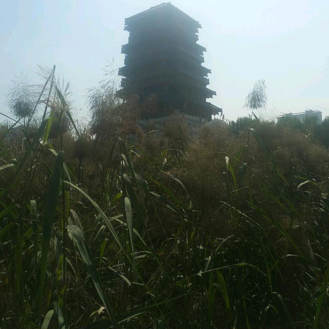 一心换心