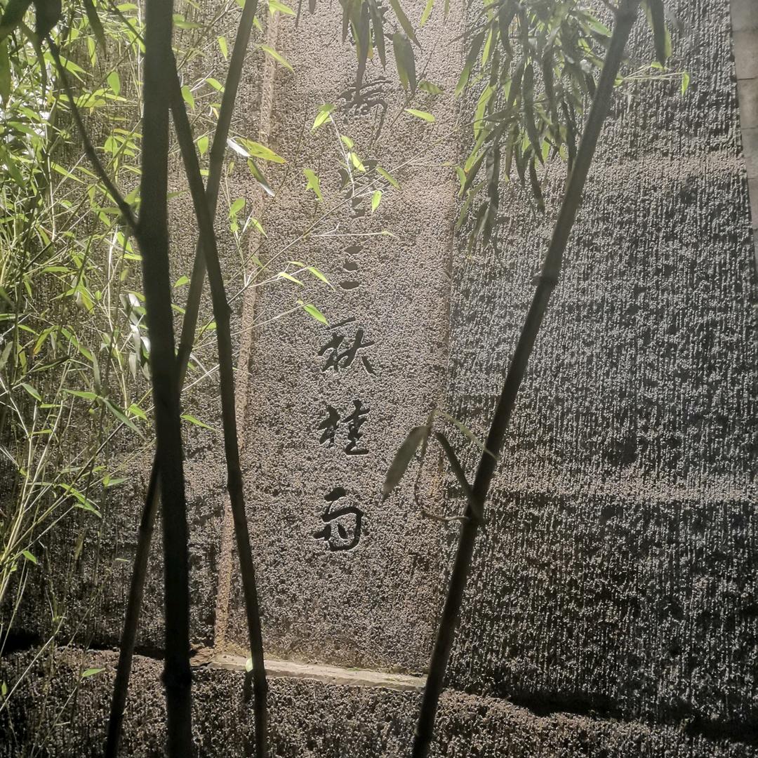 松风竹尹（影）