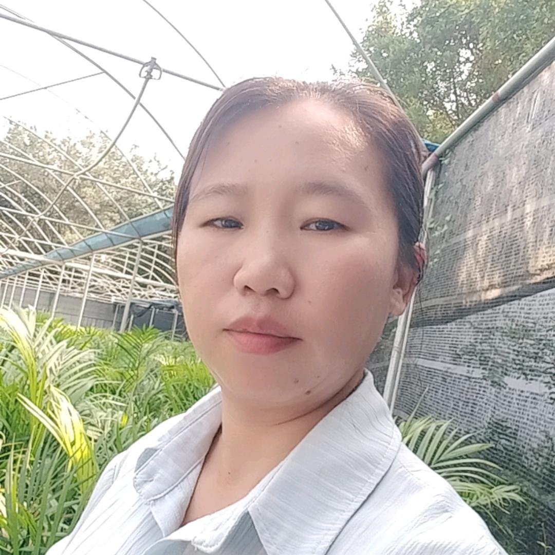 39897475233李云飞