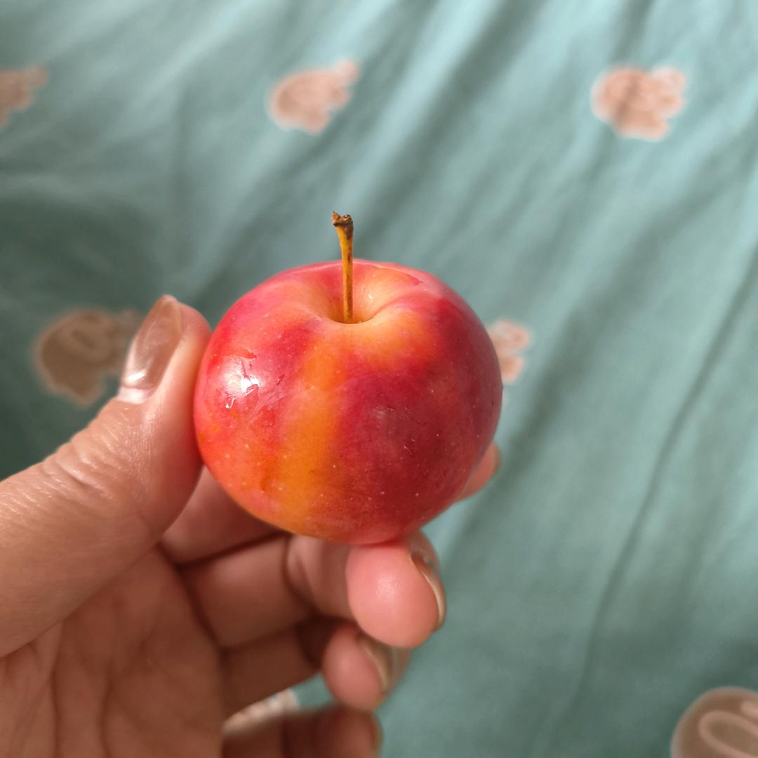 平时我都在。