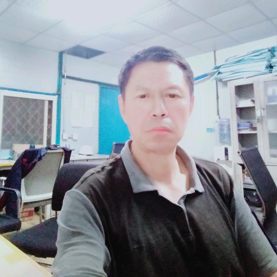 雁南飞