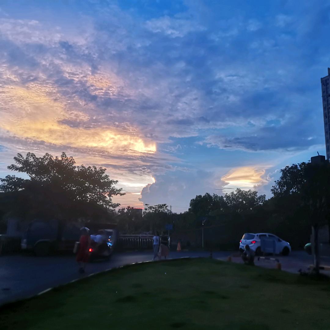 是露露呀