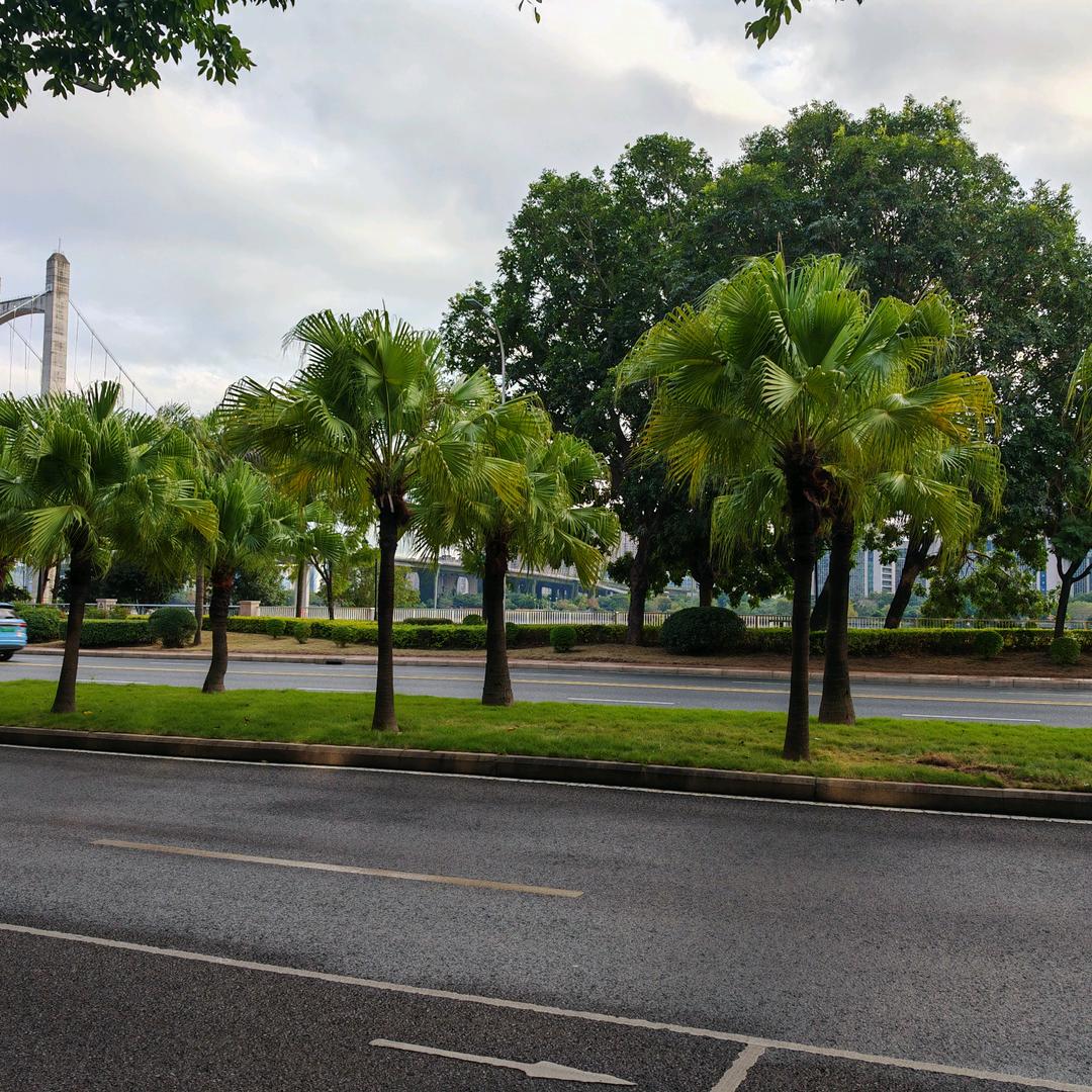 武汉市江岸区古绝轩百货店（个体工商户）