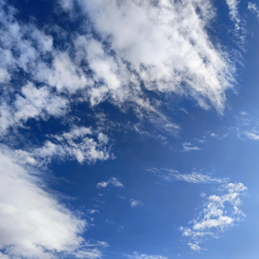 太晚的…………