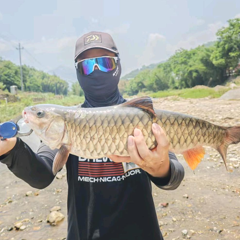 路亚陈子车干（k雷子）