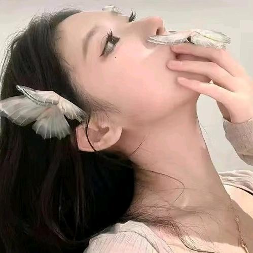 傻丫头🍓