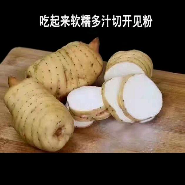 买天麻三七茶叶找我😎