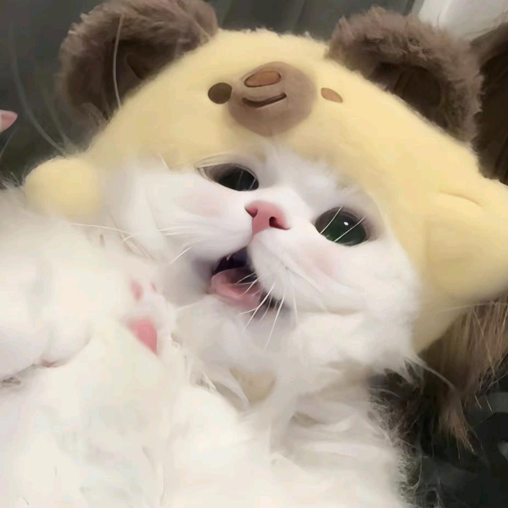 嘻嘻嘻嘻头像