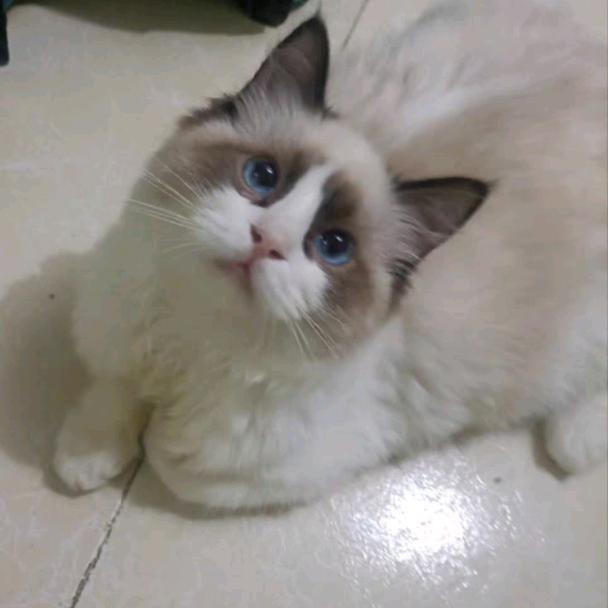 Aiiii