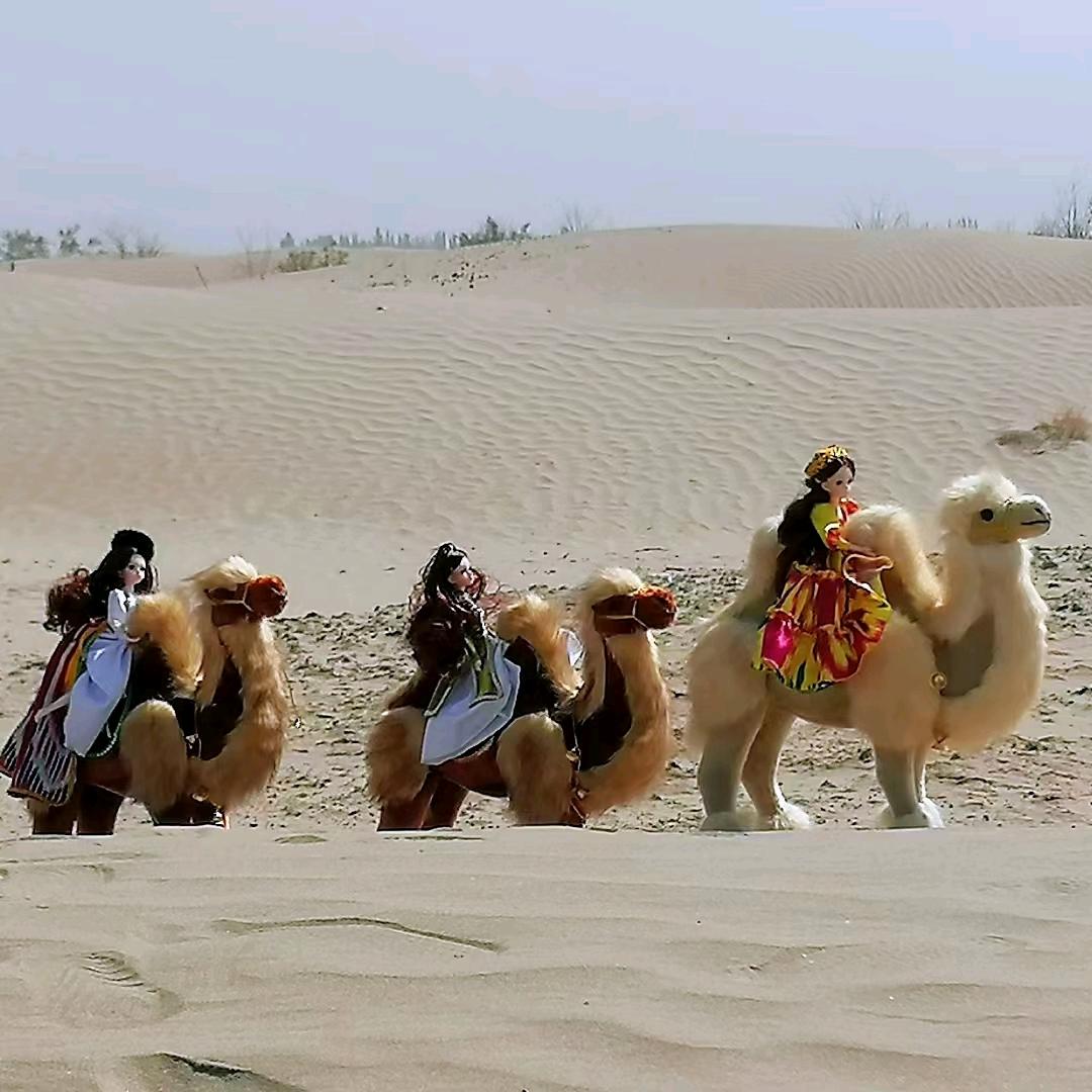新疆旅（旅游介绍）