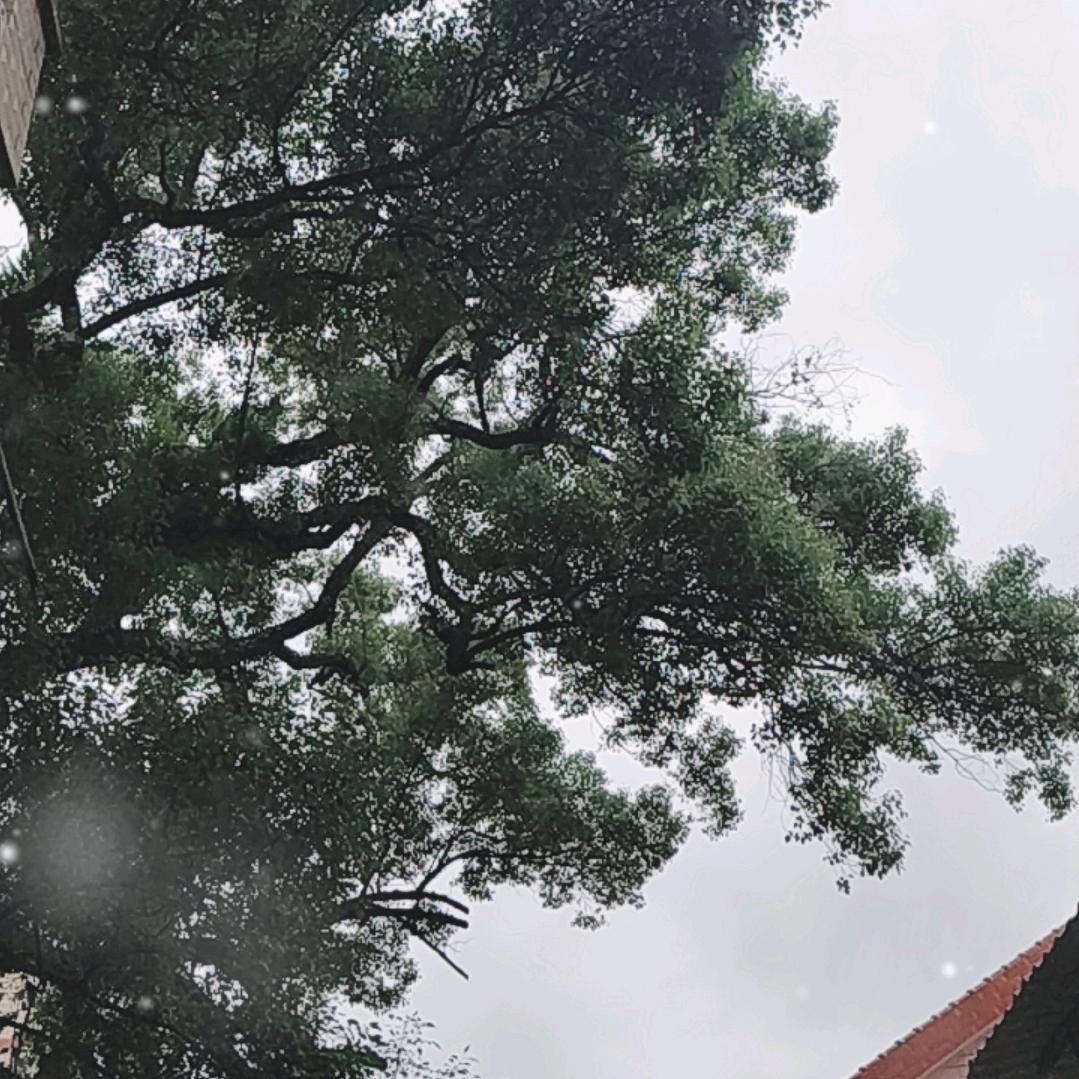 问恩喜生肖文化商行