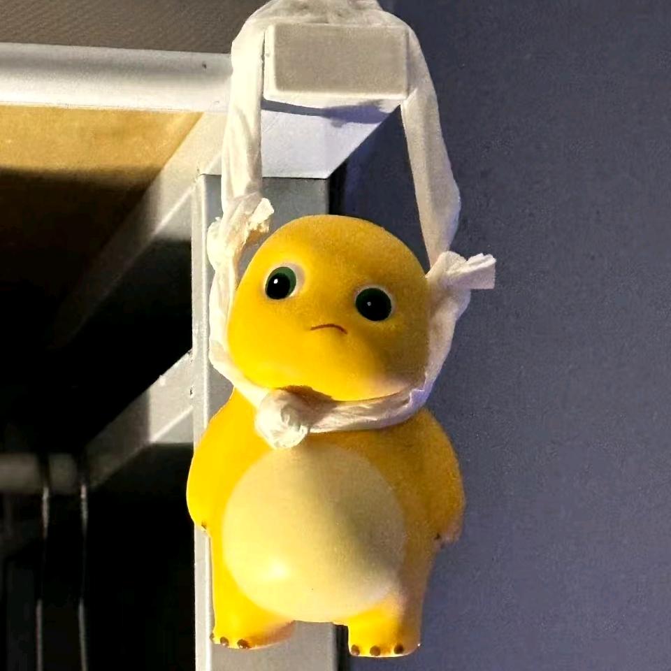 发呆小黑狗