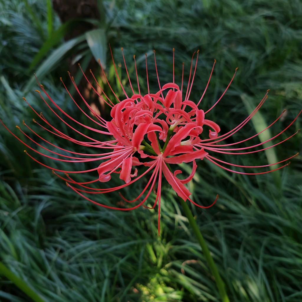 越己！阅己！悦己