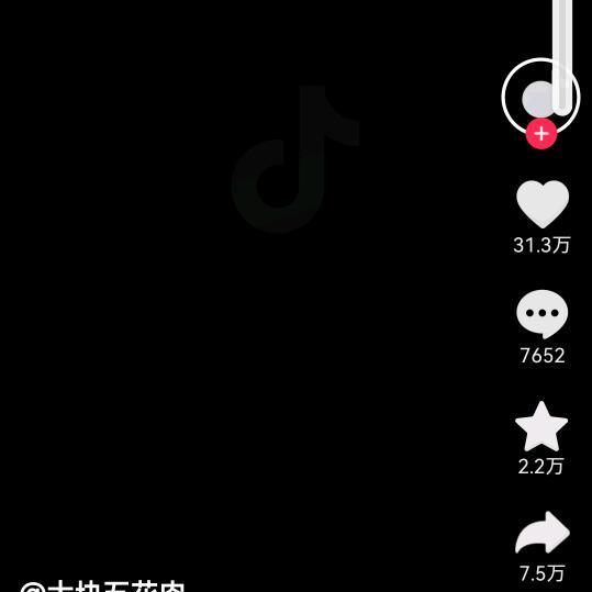 真有派头子