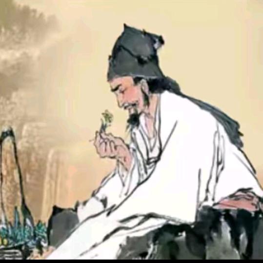 垣爱顾问存