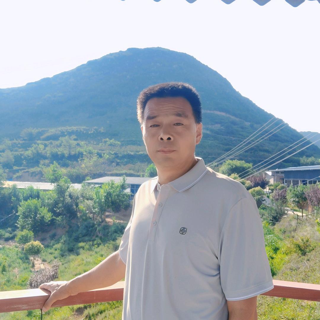 富平白庙村书记