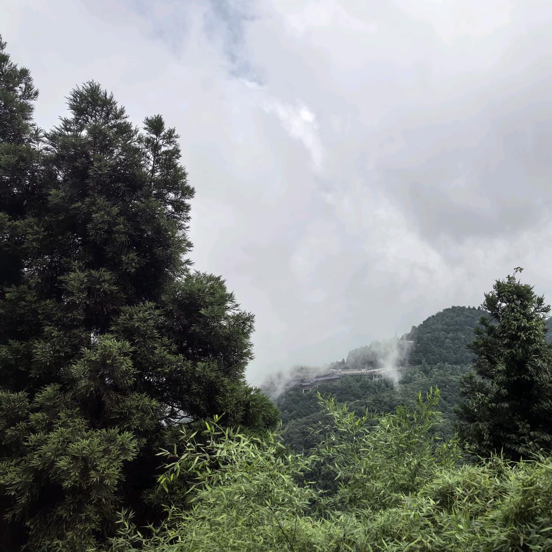 山水禅韵