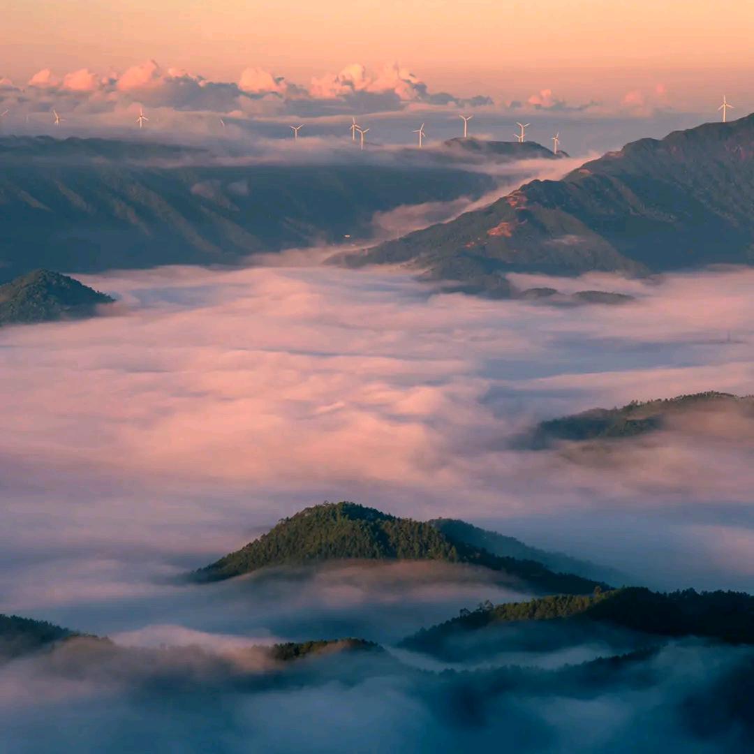 鸿( ͡° ͜ʖ ͡°)