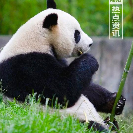 财福银门🚘
