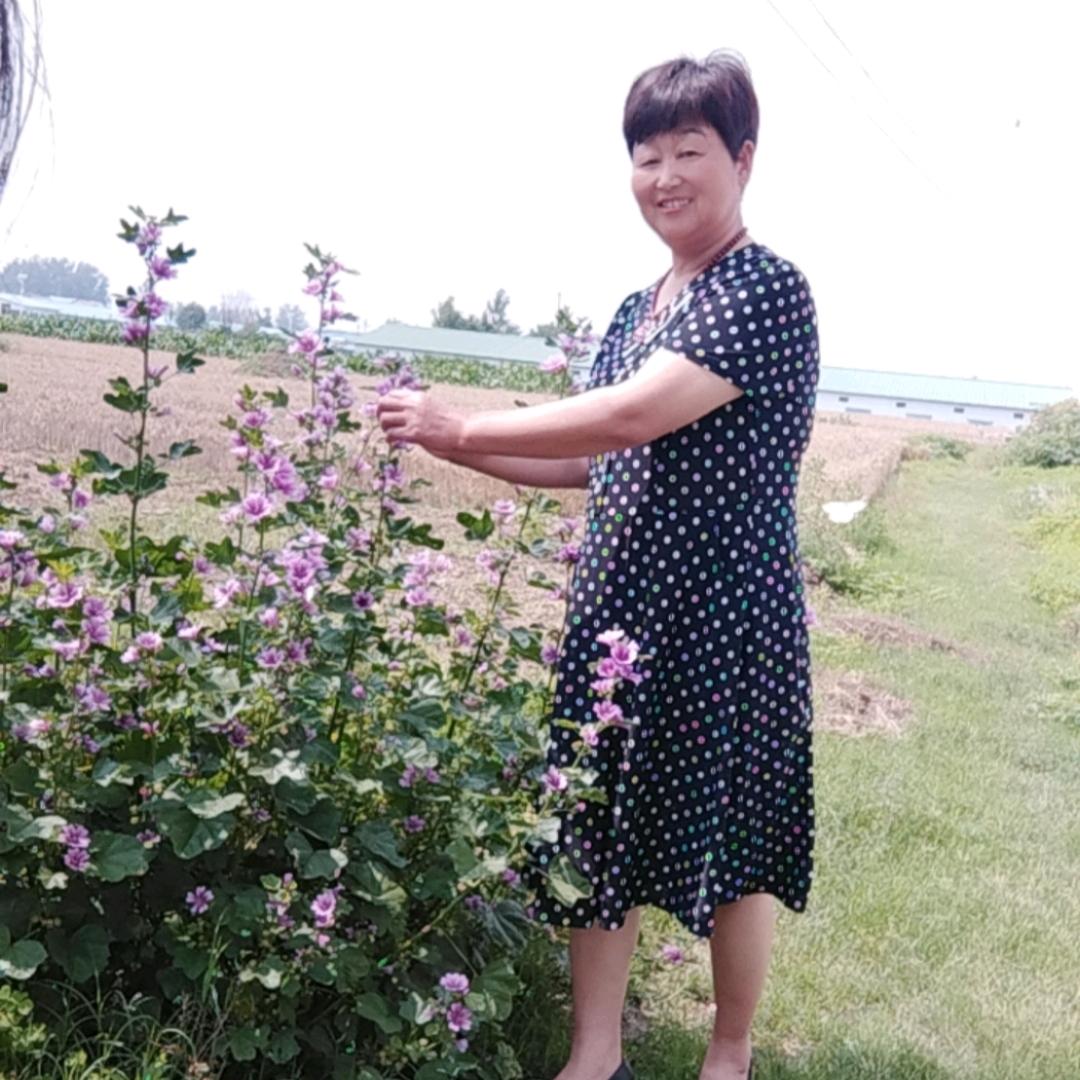 🍒有你真好没烦恼🍒