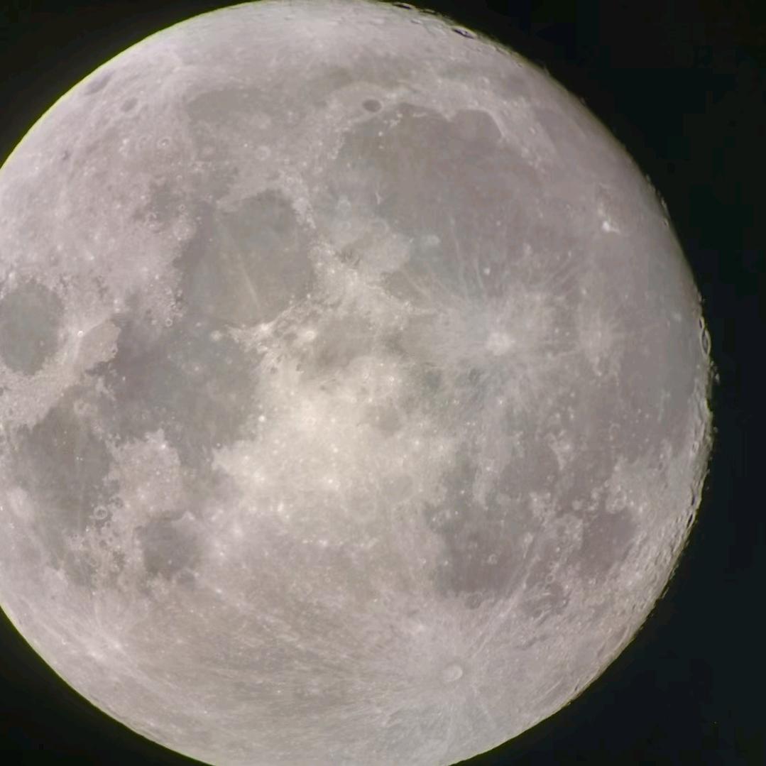 …，，爱你一生一世