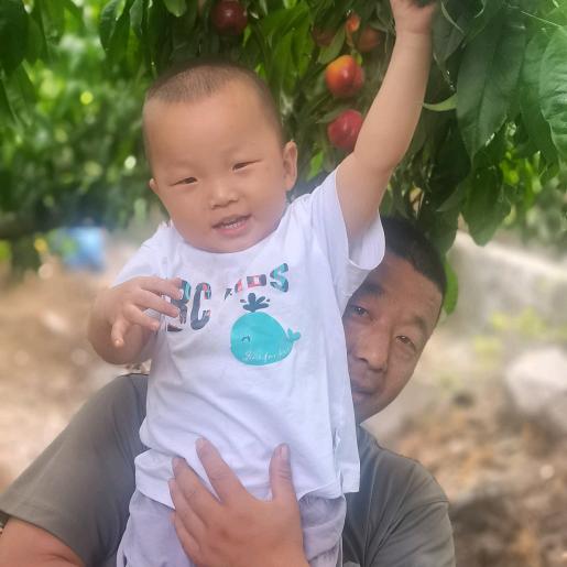 杰出农场采摘园