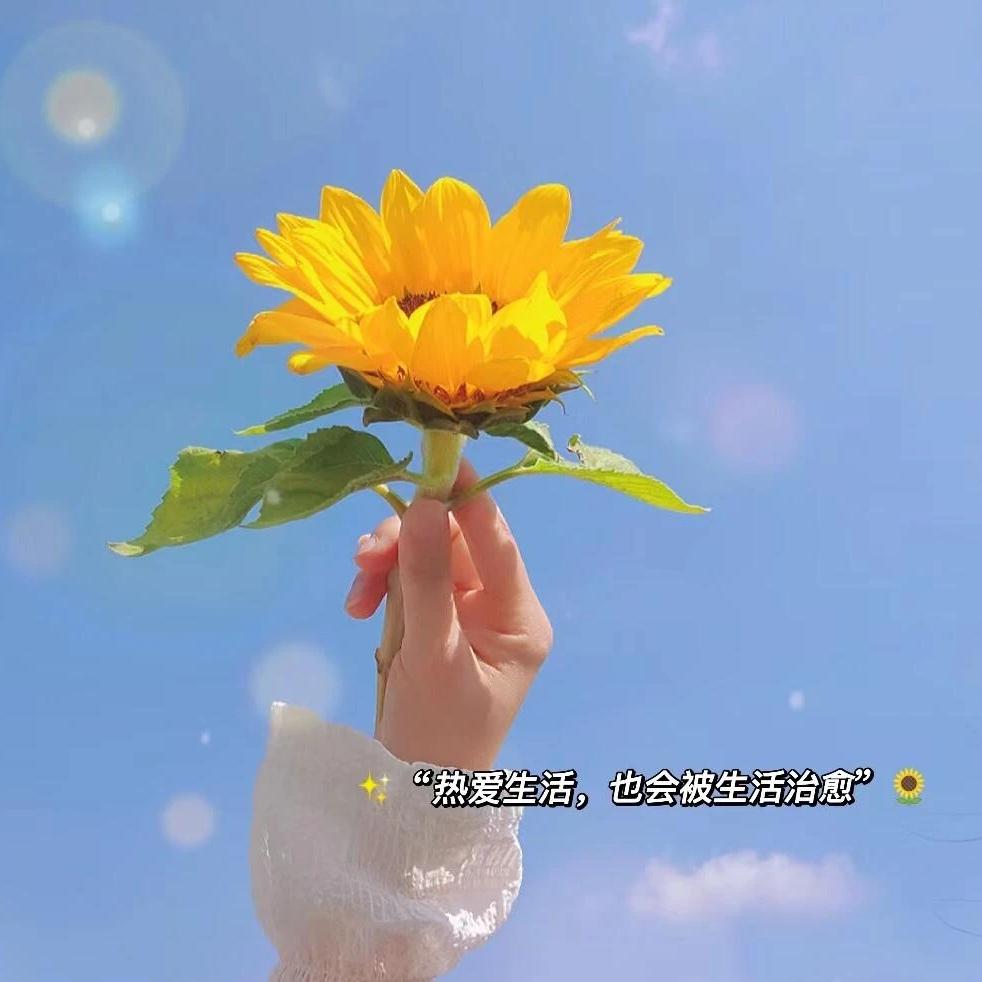 公主请暴富