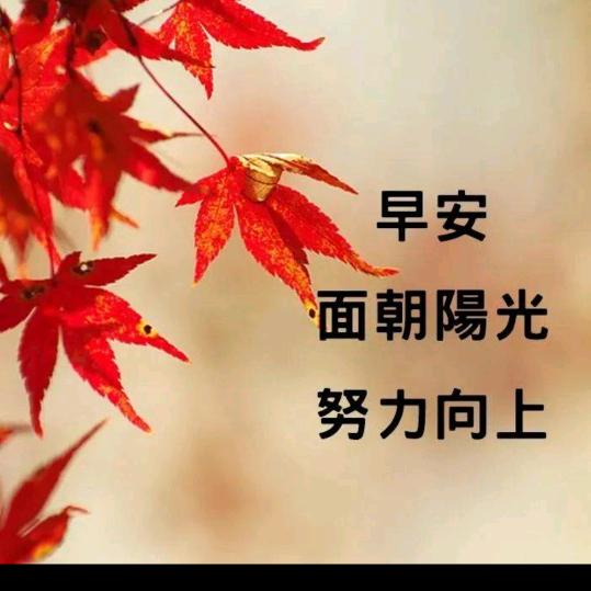快乐常在