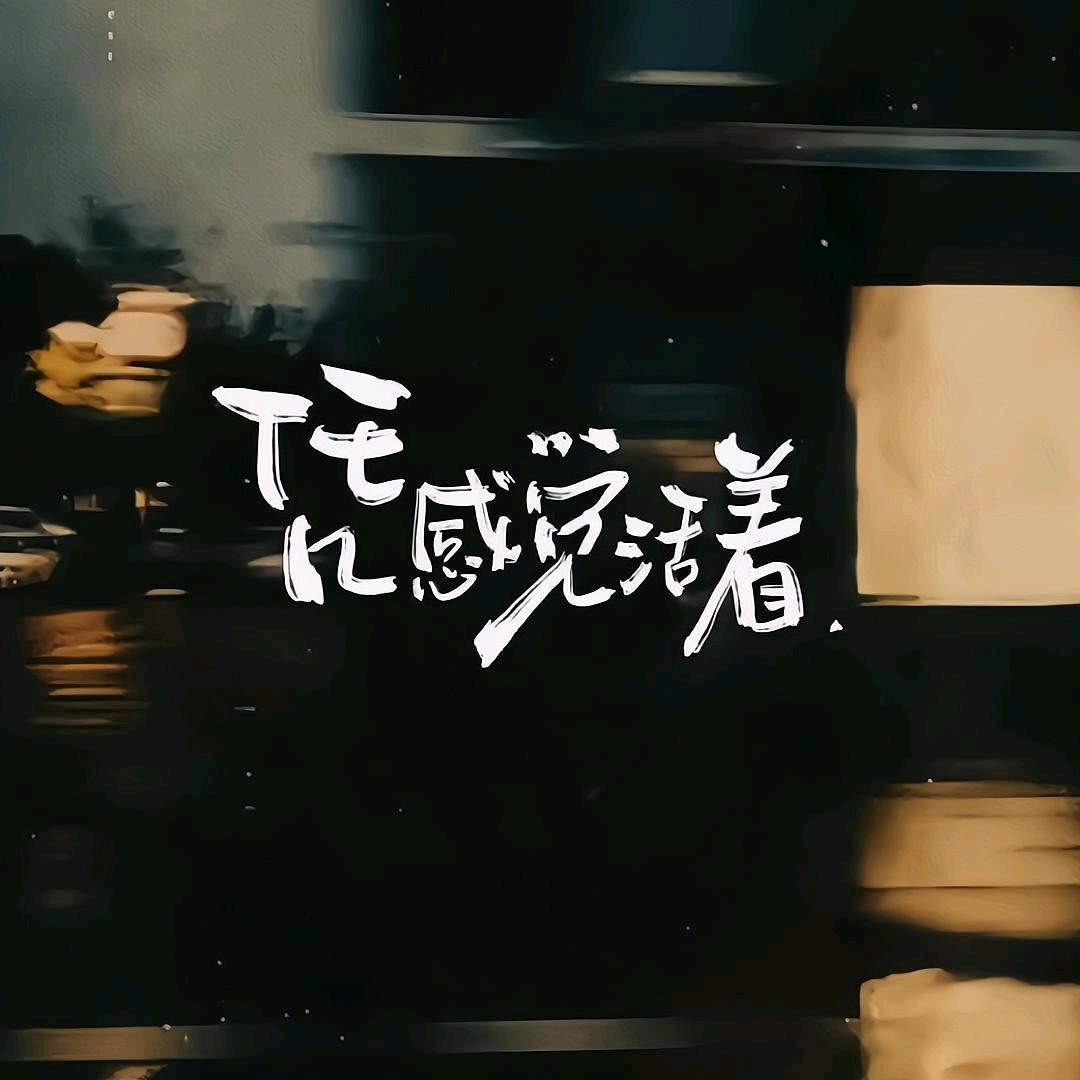 流浪海外版人设