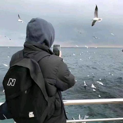 ꧁ 小幸运꧂