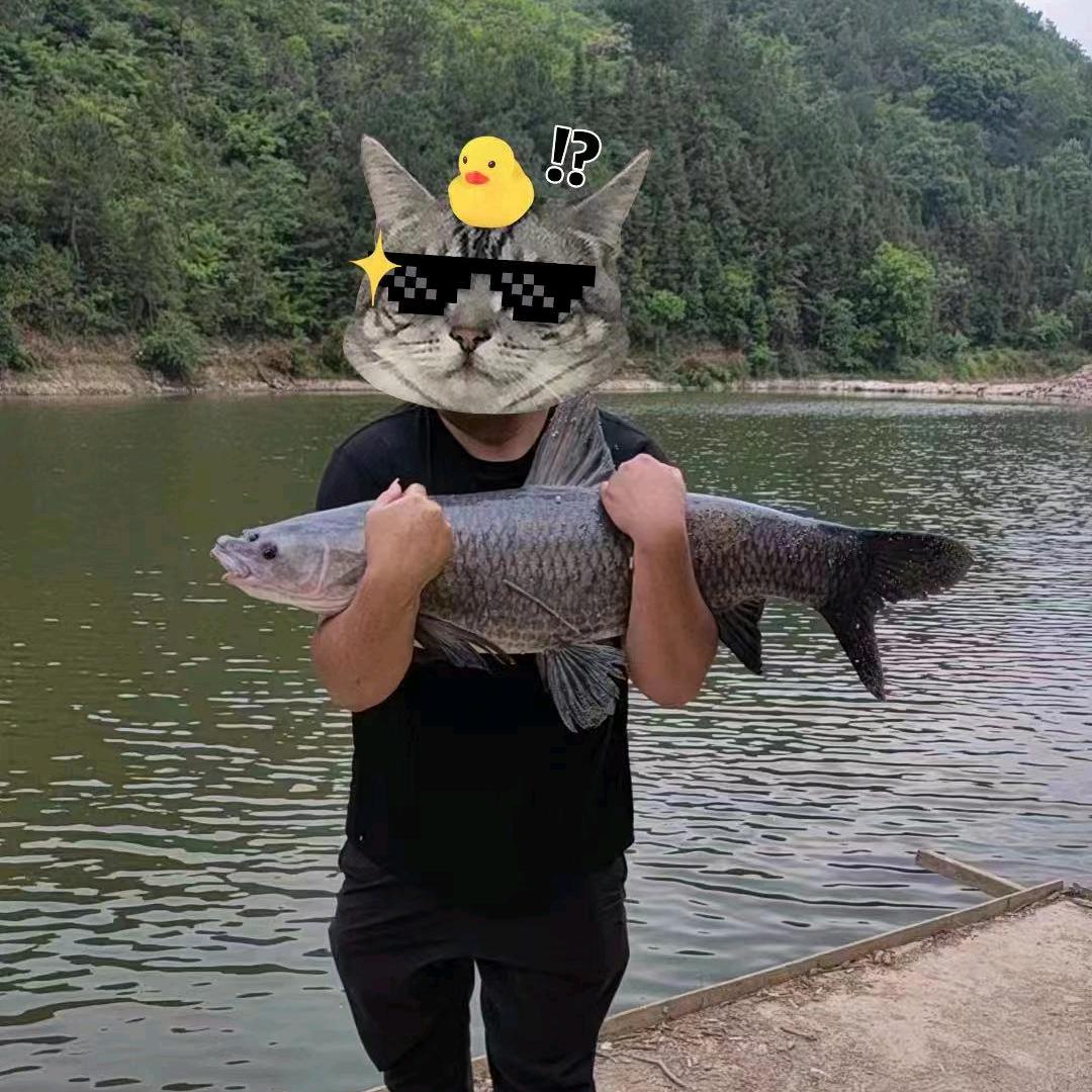 没事钓巨物