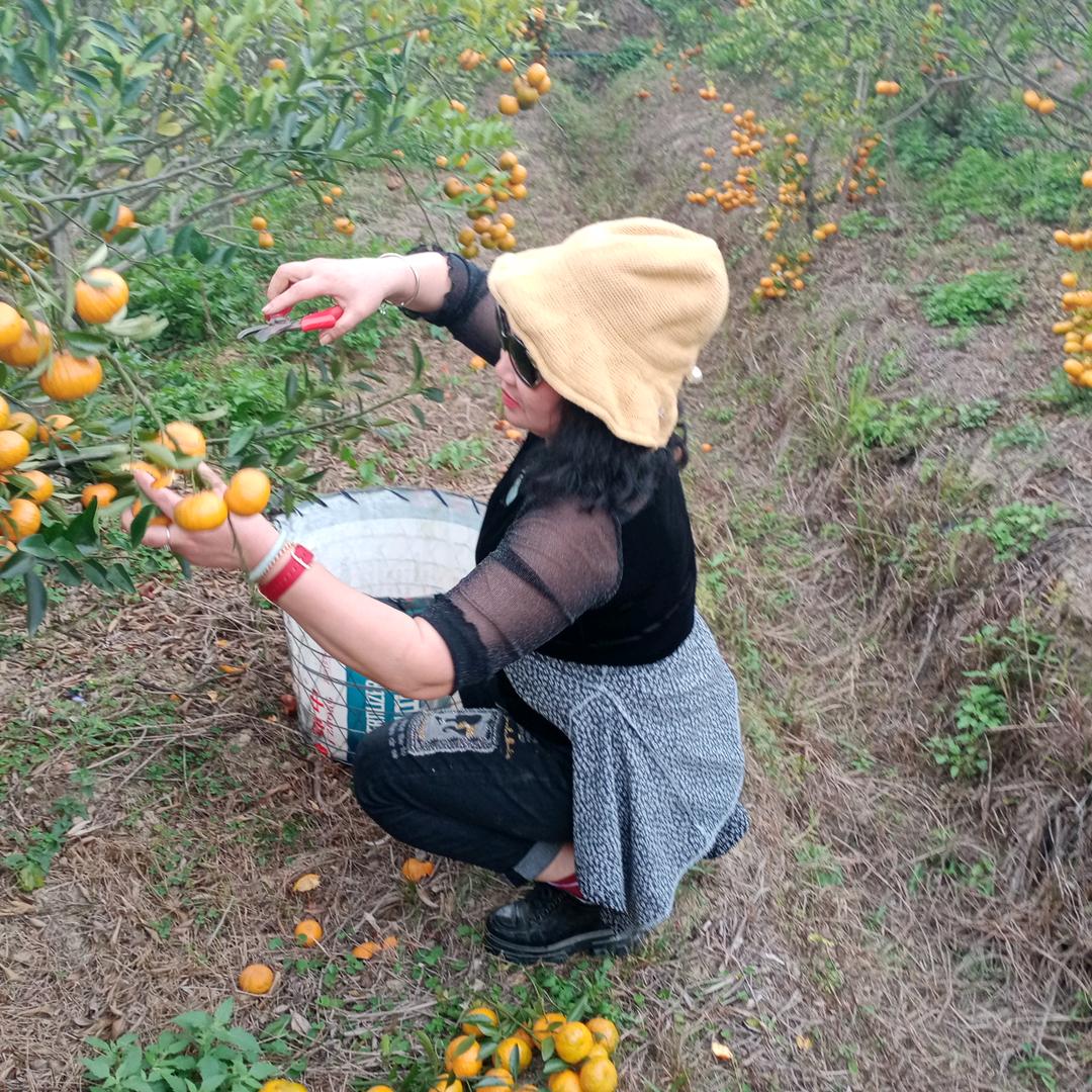 o陈丽