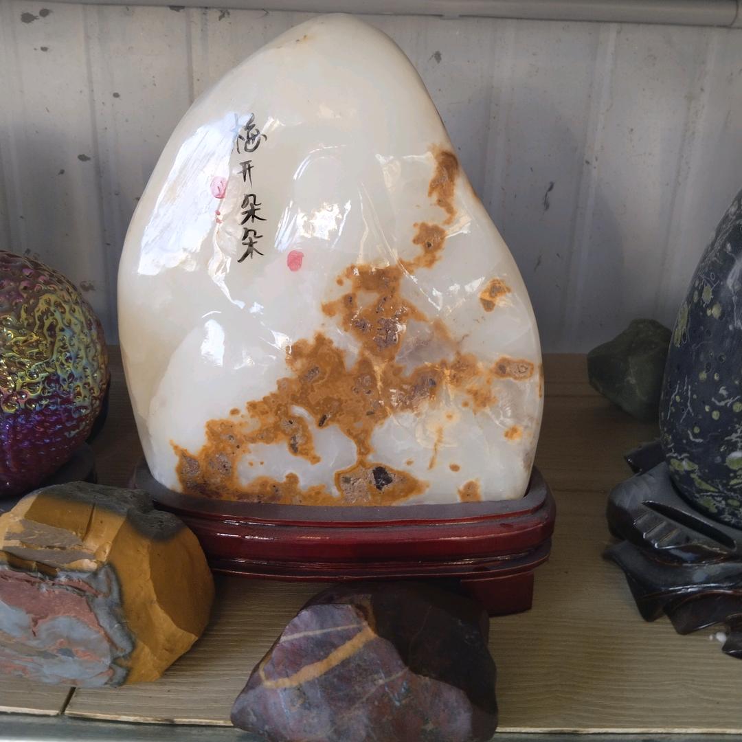 骑着蚂蚁去旅游