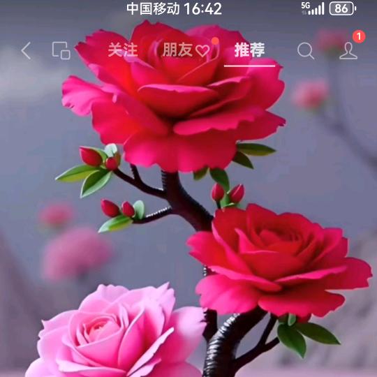 平安就是福