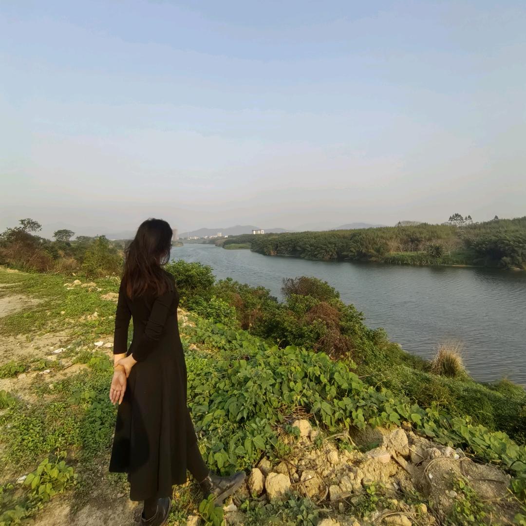 鱼泡泡