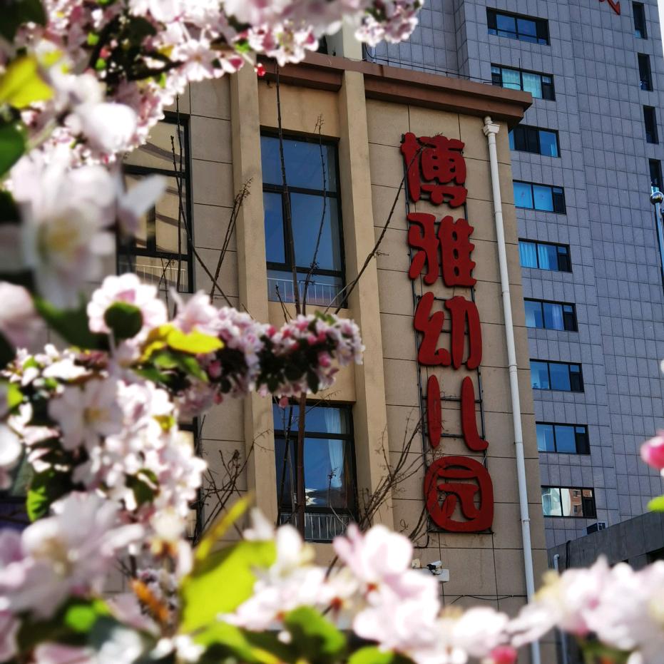 学识广博，气质优雅