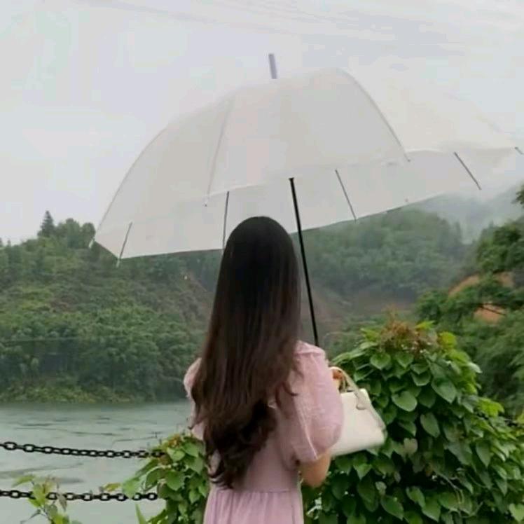 芳芳(｡･ω･｡)ﾉ♡