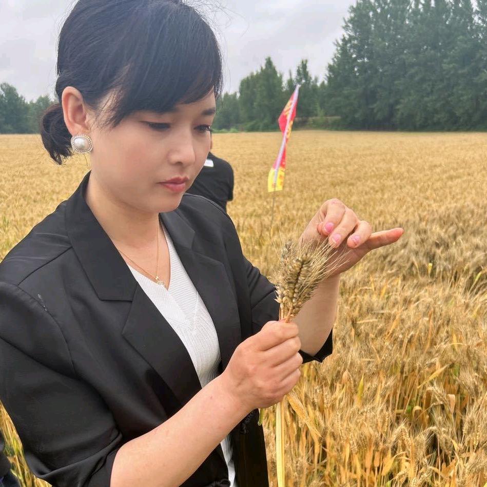 商水袁老新爱农资