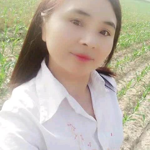 等待的玫瑰