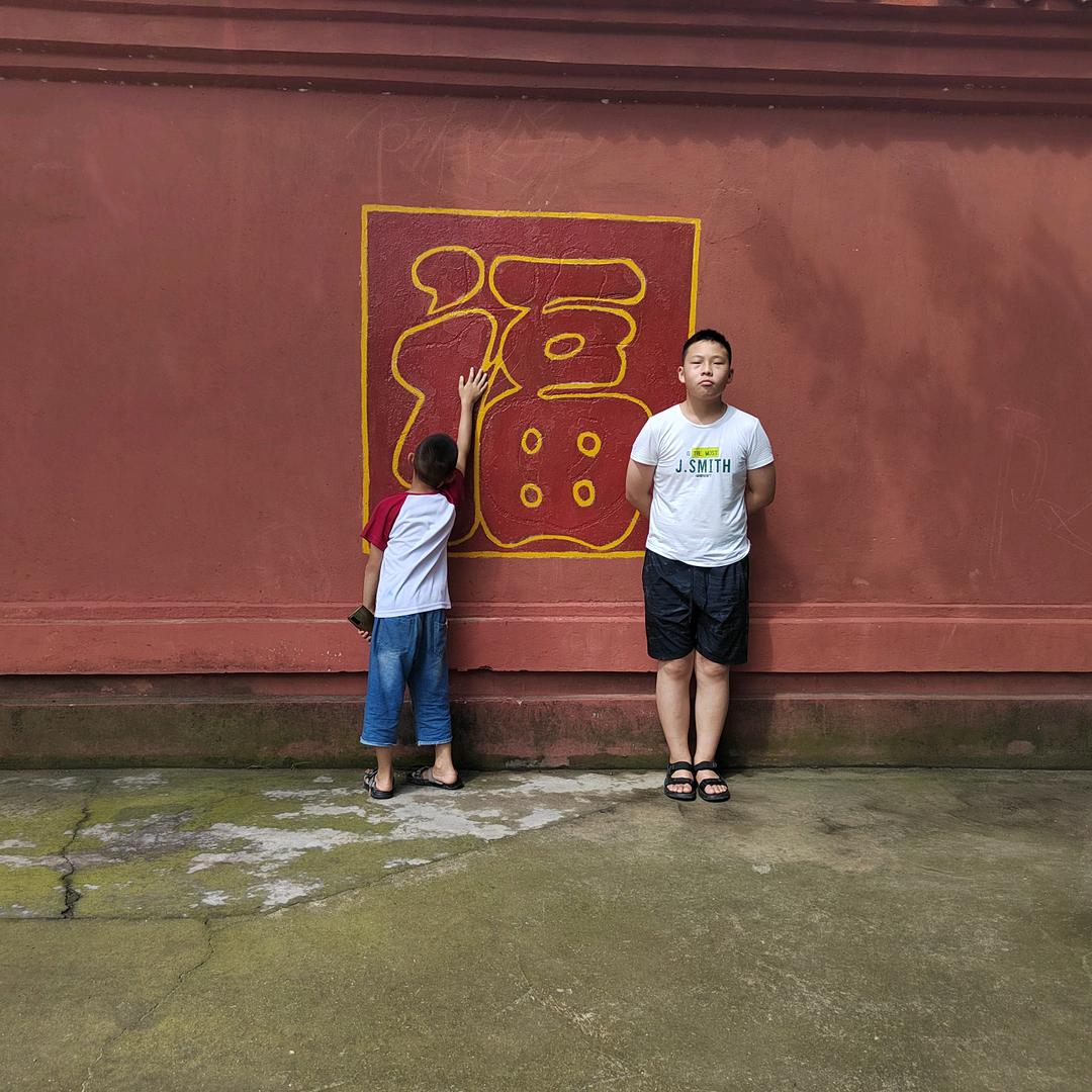 木槿花  ⁵⁸⁸