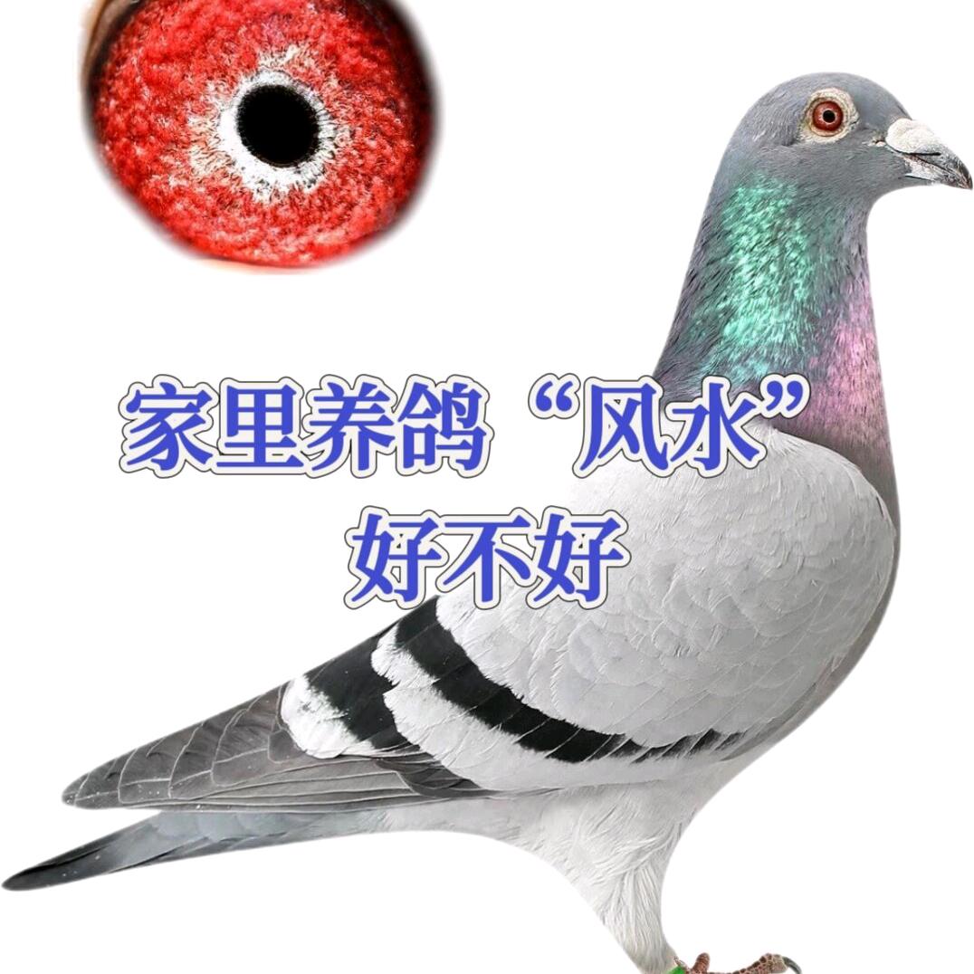 千奇百怪丶