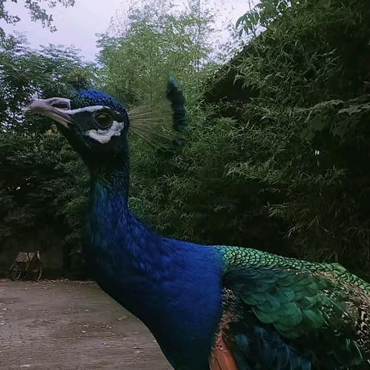 往后余生，有你就好