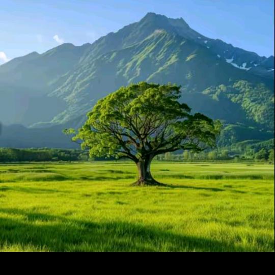 宝宝奶阳光明媚