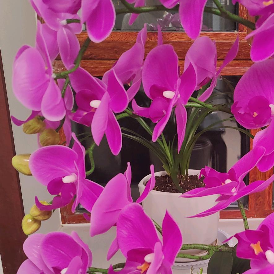 福庆全屋定制(高密店)官方号