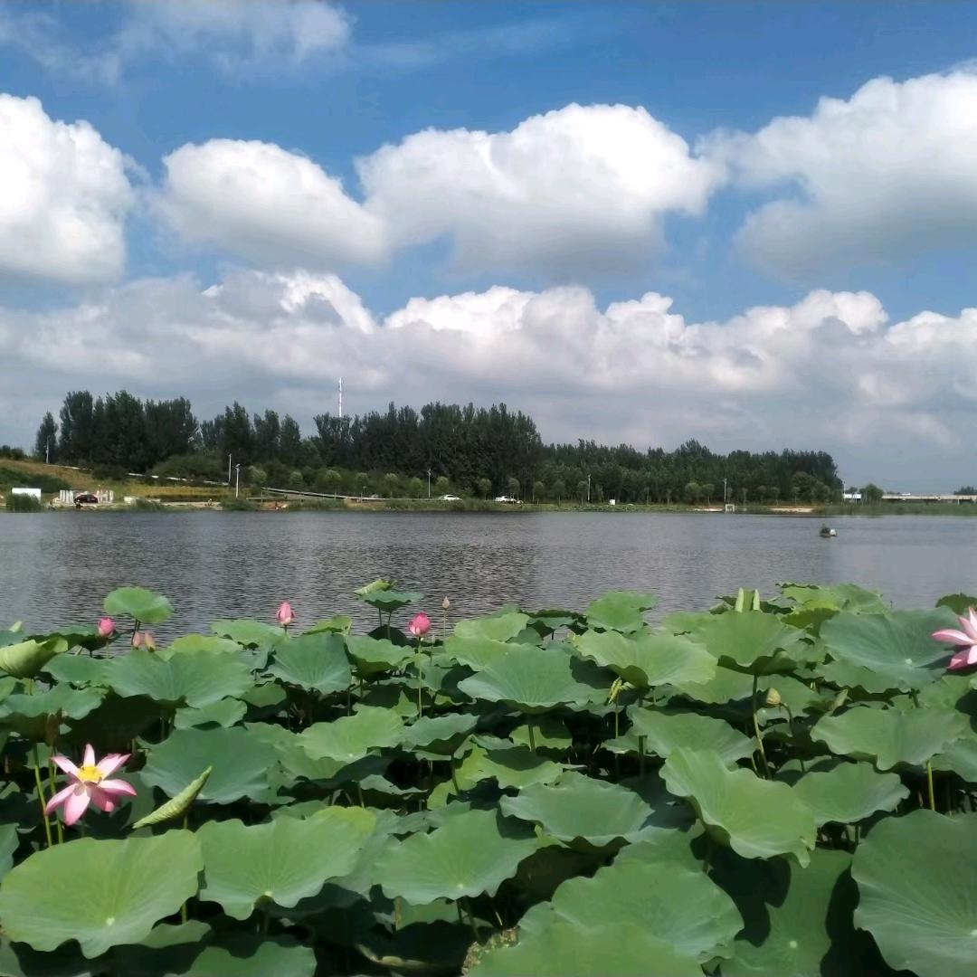 永恒De爱